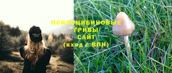 тгк Богородск