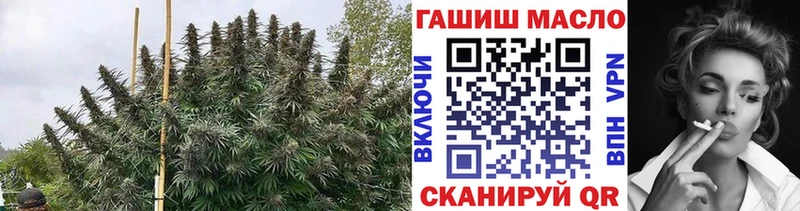 как найти наркотики  Смоленск  Дистиллят ТГК гашишное масло 